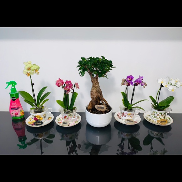 Meet your Posher, Da - Picture 2 of 2